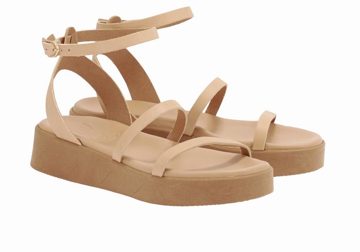 Sandale Plateforme Ancient Greek Sandals Nissida Leather   | EZM-8610940